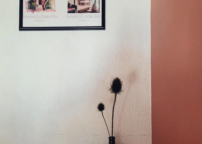 דירה Centre Historique 4 Pers Climatisation